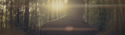 https://upforme.ru/uploads/001a/0d/f5/23/726626.gif