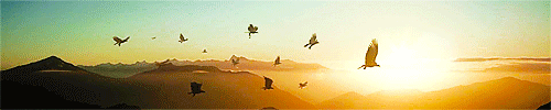 https://upforme.ru/uploads/001a/0d/f5/3/956850.gif