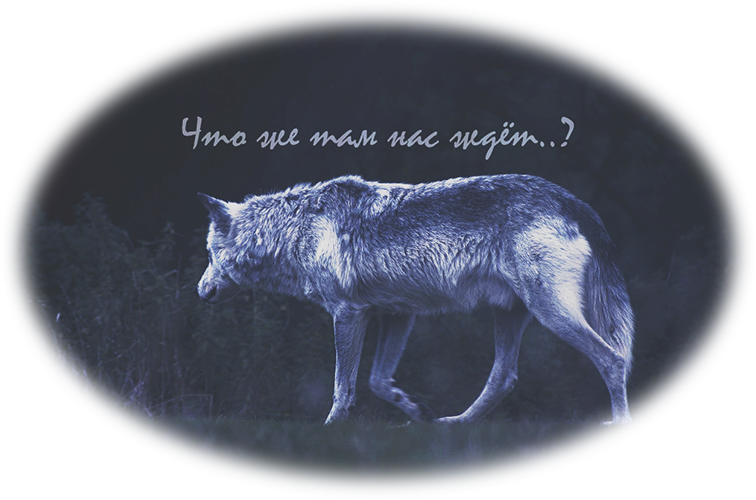 https://upforme.ru/uploads/001a/0e/ef/2/334172.png