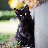 https://upforme.ru/uploads/001a/0f/73/109/239973.jpg