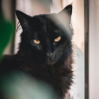 https://upforme.ru/uploads/001a/0f/73/109/855181.jpg