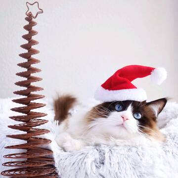https://upforme.ru/uploads/001a/0f/73/12/t208289.jpg