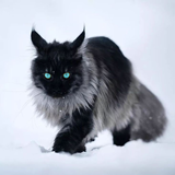 https://upforme.ru/uploads/001a/0f/73/121/t353401.png