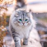 https://upforme.ru/uploads/001a/0f/73/124/t928573.jpg