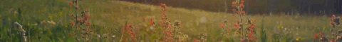 https://upforme.ru/uploads/001a/0f/73/124/t939065.gif