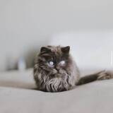 https://upforme.ru/uploads/001a/0f/73/138/t861072.jpg
