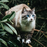 https://upforme.ru/uploads/001a/0f/73/14/t125929.png