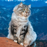 https://upforme.ru/uploads/001a/0f/73/14/t378993.png