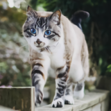 https://upforme.ru/uploads/001a/0f/73/14/t709913.png