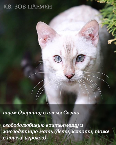 https://upforme.ru/uploads/001a/0f/73/2/269138.png