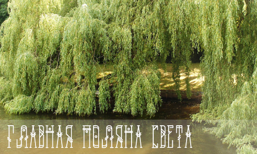https://upforme.ru/uploads/001a/0f/73/2/550106.png