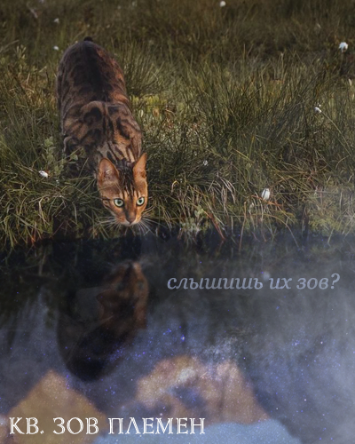 https://upforme.ru/uploads/001a/0f/73/2/67105.png