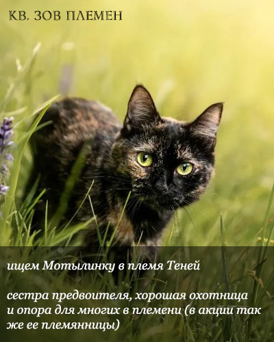 https://upforme.ru/uploads/001a/0f/73/2/857053.png