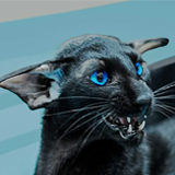 https://upforme.ru/uploads/001a/0f/73/73/264652.png