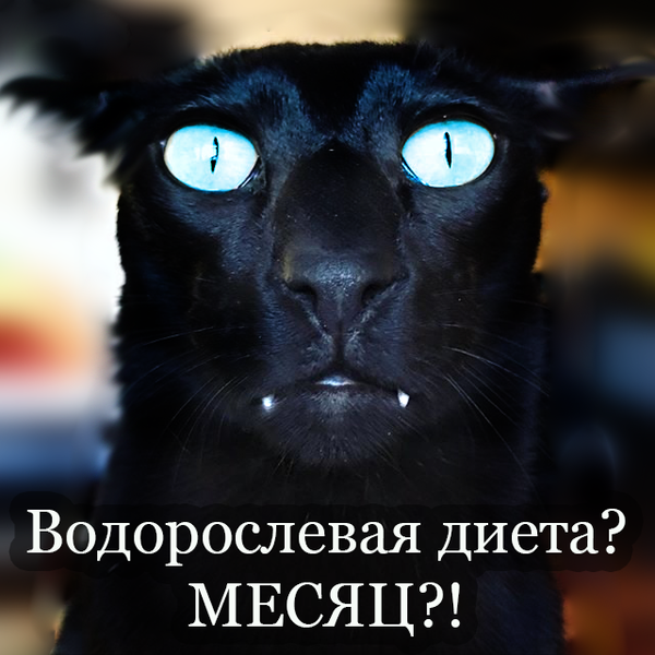 https://upforme.ru/uploads/001a/0f/73/73/t600544.png