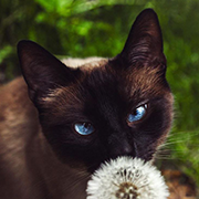 https://upforme.ru/uploads/001a/0f/73/9/187765.png