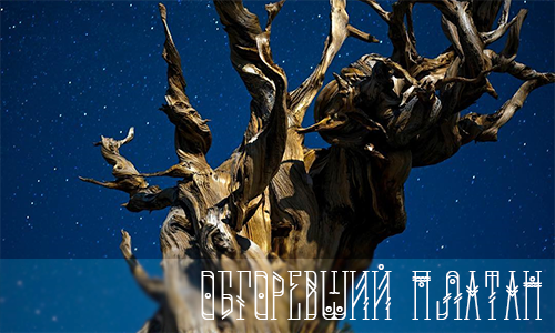 https://upforme.ru/uploads/001a/0f/73/9/34006.png