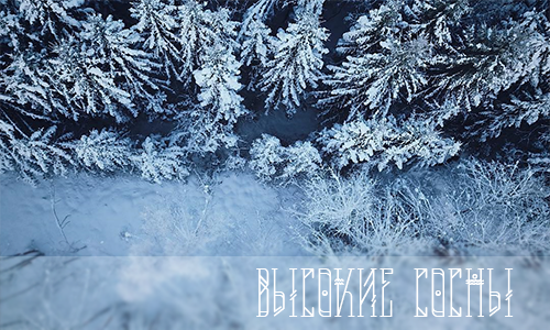 https://upforme.ru/uploads/001a/0f/73/9/343769.png