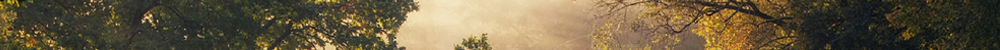 https://upforme.ru/uploads/001a/0f/73/9/569985.png