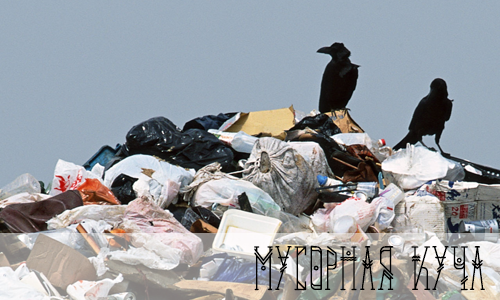 https://upforme.ru/uploads/001a/0f/73/9/679953.png
