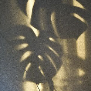 https://upforme.ru/uploads/001a/0f/73/9/717489.png
