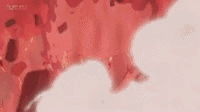https://upforme.ru/uploads/001a/12/f3/67/t832886.gif