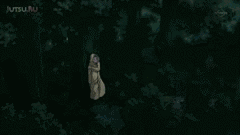 https://upforme.ru/uploads/001a/12/f3/67/t915440.gif