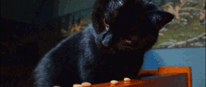 https://upforme.ru/uploads/001a/13/67/2/778570.gif
