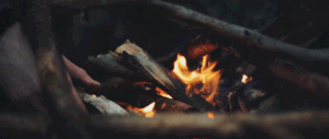 https://upforme.ru/uploads/001a/13/67/2/t15119.gif