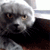 https://upforme.ru/uploads/001a/15/14/55/478234.gif