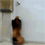 https://upforme.ru/uploads/001a/15/14/55/605276.gif