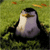 https://upforme.ru/uploads/001a/15/14/55/685672.gif