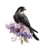 https://upforme.ru/uploads/001a/17/1c/213/t397592.png