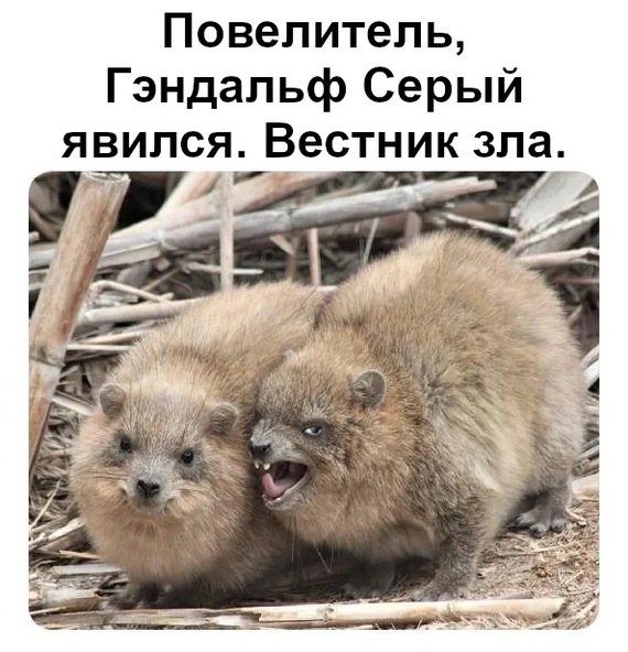 https://upforme.ru/uploads/001a/17/1c/66/210199.jpg