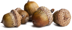 https://upforme.ru/uploads/001a/17/1c/66/262877.png