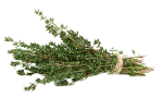 https://upforme.ru/uploads/001a/17/1c/66/402118.png