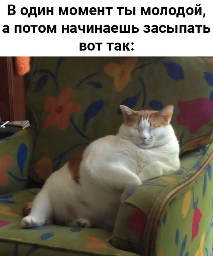 https://upforme.ru/uploads/001a/17/1c/66/594158.webp