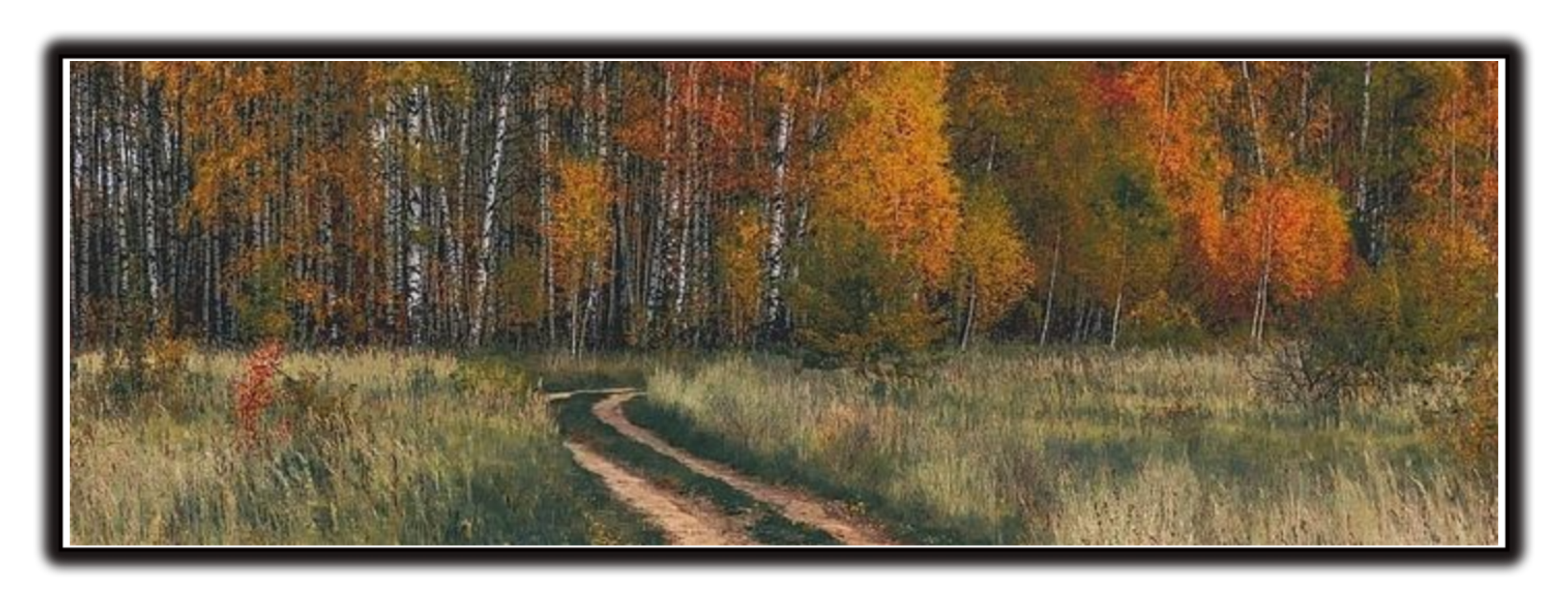 https://upforme.ru/uploads/001a/17/1c/66/633046.png