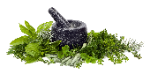 https://upforme.ru/uploads/001a/17/1c/66/769587.png