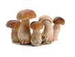 https://upforme.ru/uploads/001a/17/1c/66/77042.png