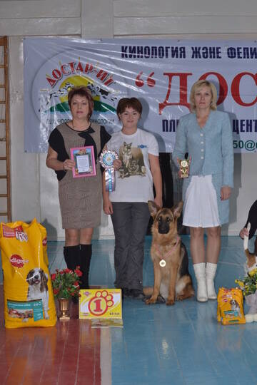 https://upforme.ru/uploads/001a/17/7e/4/t573118.jpg