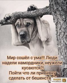 https://upforme.ru/uploads/001a/1f/30/18/t105916.jpg
