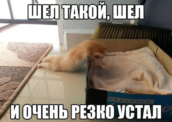 https://upforme.ru/uploads/001a/1f/30/18/t123939.jpg
