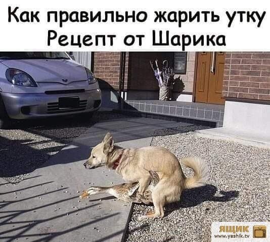 https://upforme.ru/uploads/001a/1f/30/18/t133653.jpg