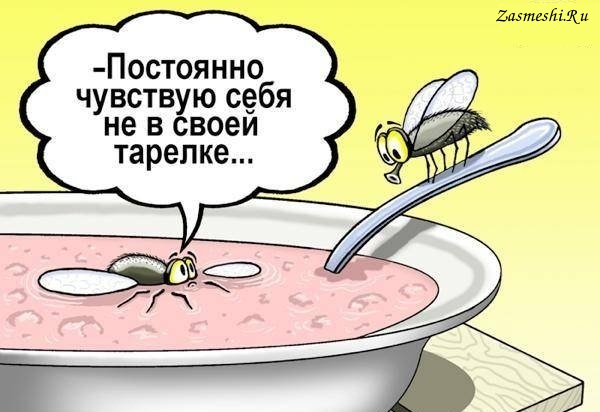 https://upforme.ru/uploads/001a/1f/30/18/t153045.jpg