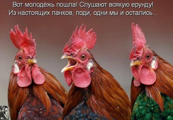 https://upforme.ru/uploads/001a/1f/30/18/t259885.jpg