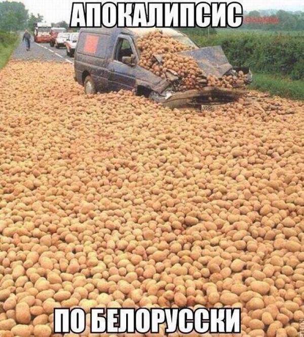 https://upforme.ru/uploads/001a/1f/30/18/t323886.jpg