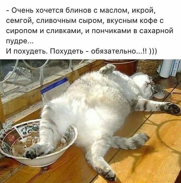 https://upforme.ru/uploads/001a/1f/30/18/t507986.jpg