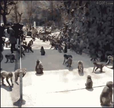 https://upforme.ru/uploads/001a/1f/30/18/t579871.gif