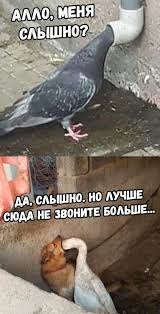 https://upforme.ru/uploads/001a/1f/30/18/t75213.jpg